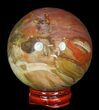 Colorful Petrified Wood Sphere #49739-1